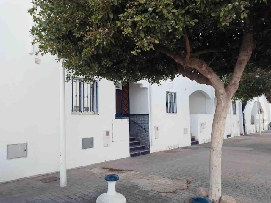 El Playaiso De San Jose 아파트 외부 사진
